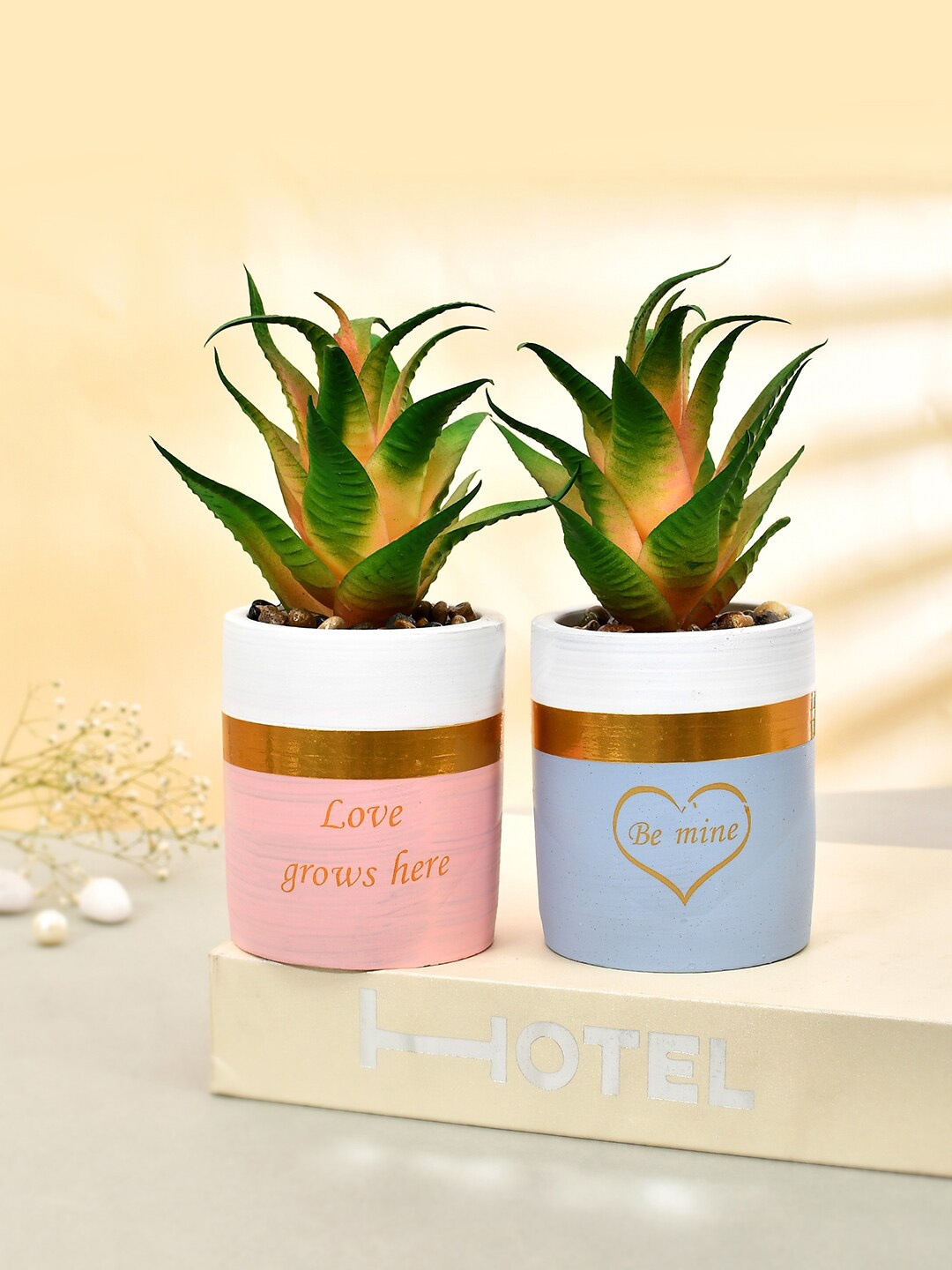 

TAYHAA Green & Pink 2 Pieces Succulent Plant With Ceramic Pot