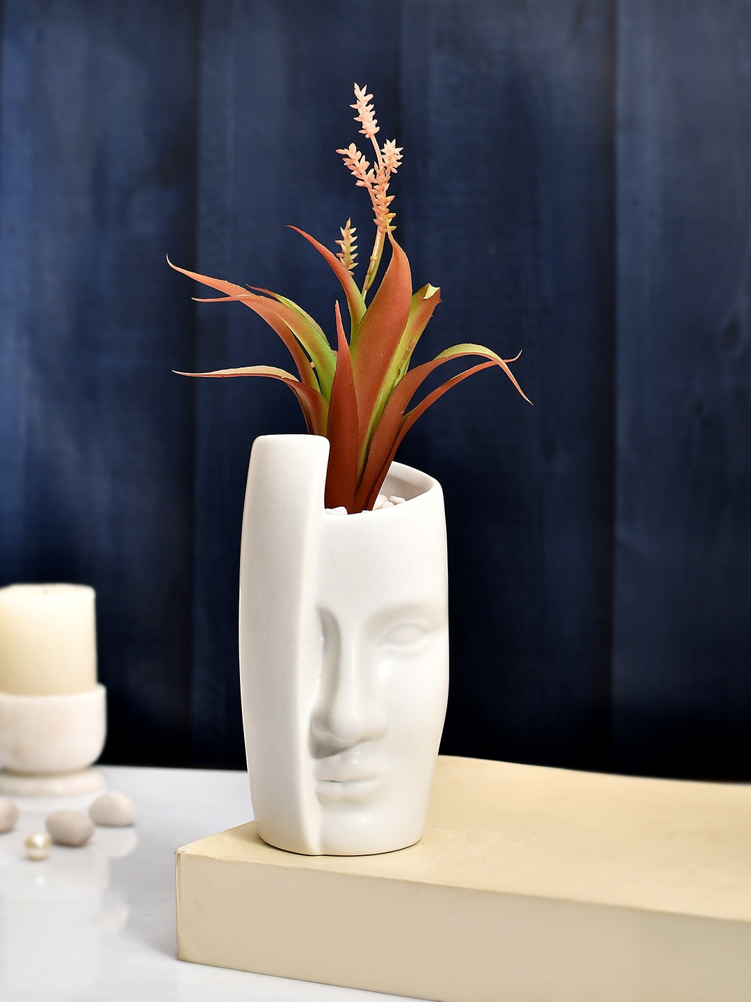 

TAYHAA White & Red Oasis Plant With Ceramic Face Pot