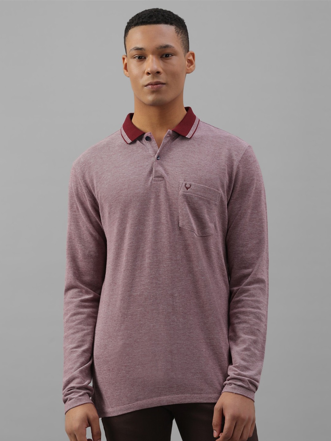 

Allen Solly Polo Collar Pure Cotton T-shirt, Maroon