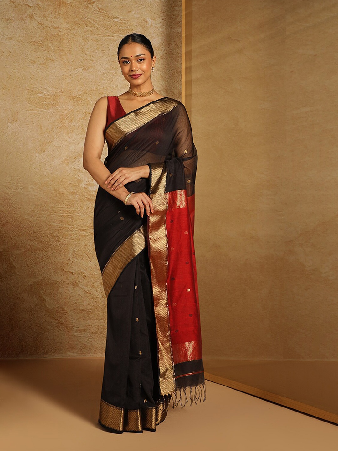 

Taneira Ethnic Motifs Woven Design Zari Silk Cotton Maheshwari Saree, Black