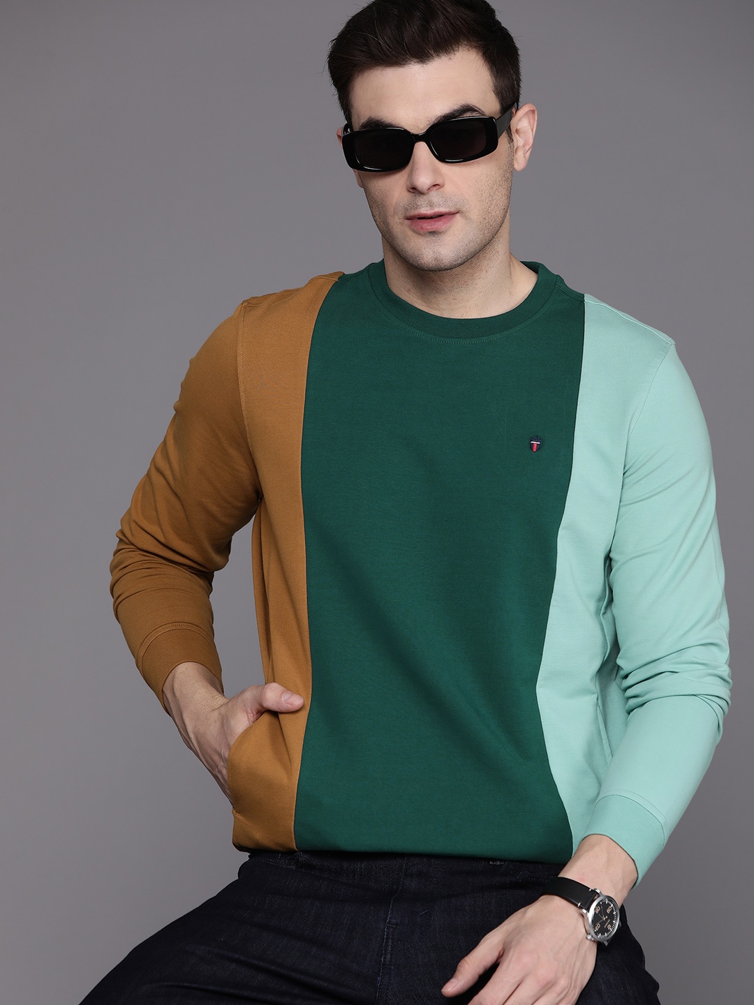 

Louis Philippe Sport Colourblocked Round Neck Sweatshirt, Green