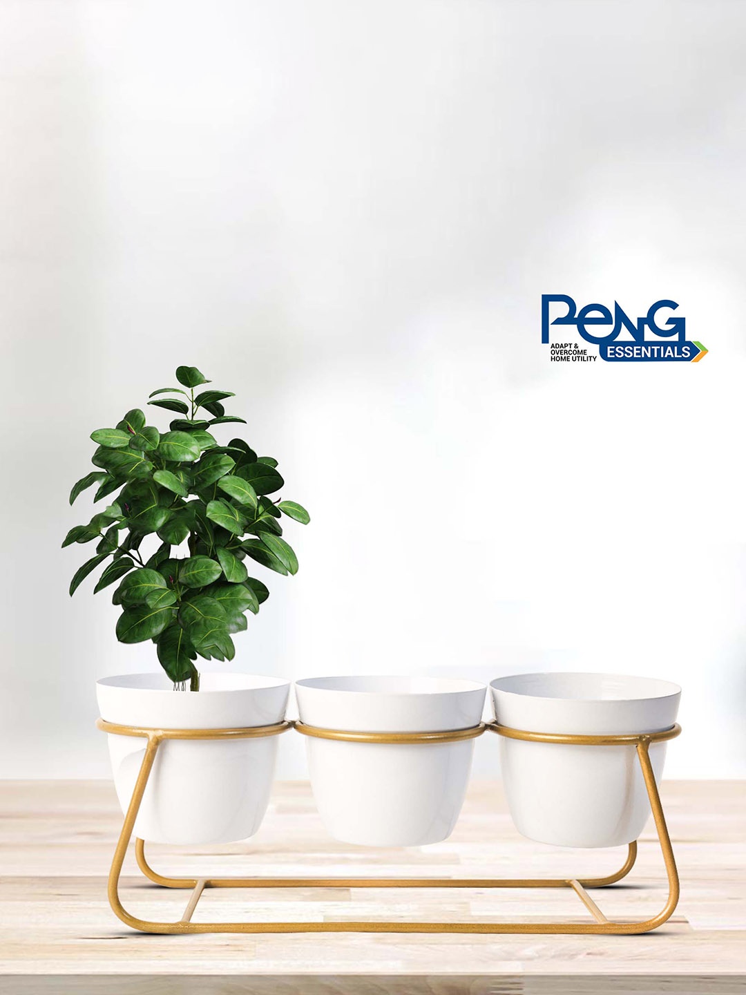 

Peng Essentials White 6 Pieces Indoor Metal Flower Pot With Holders
