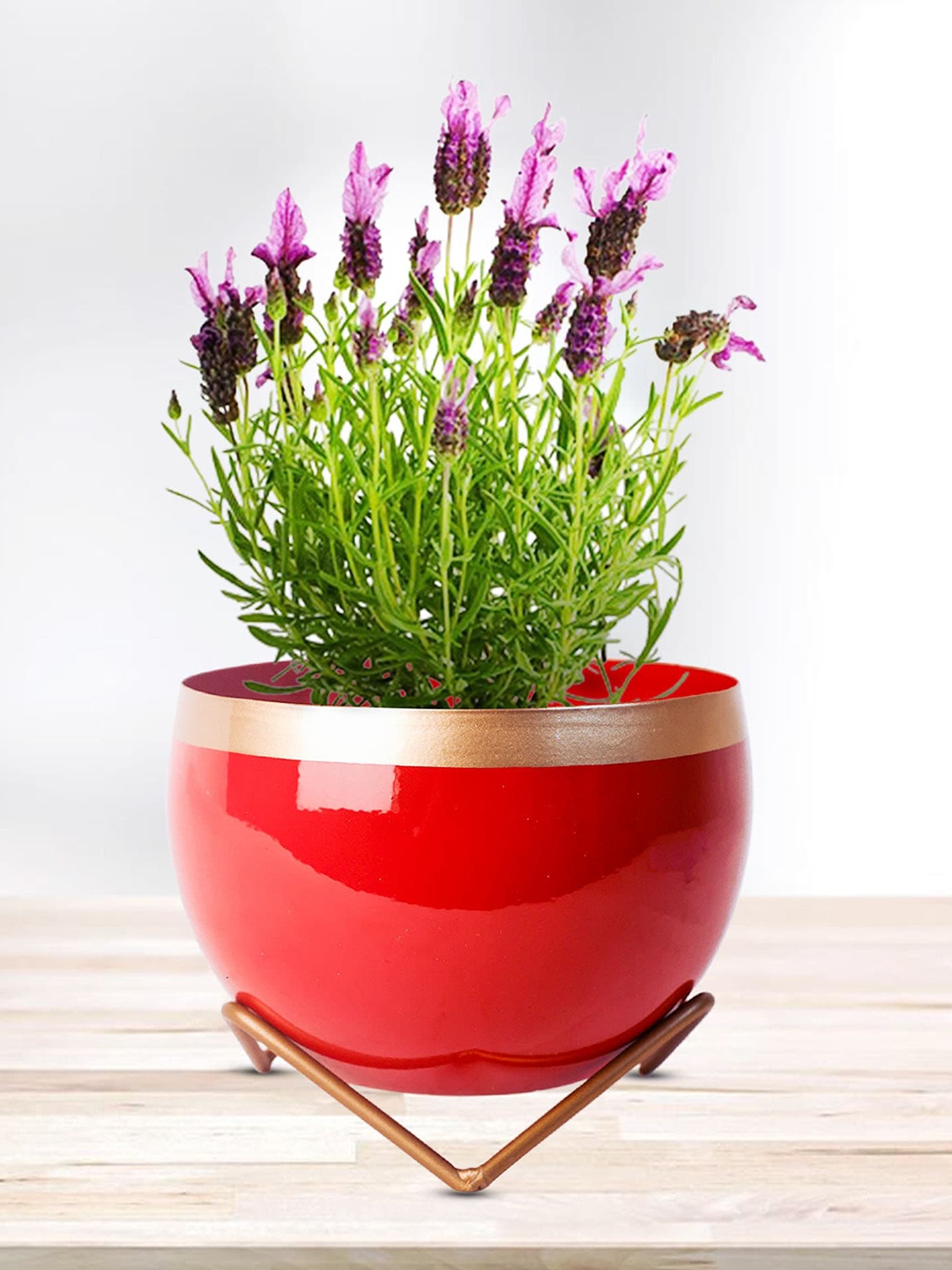 

Peng Essentials Red 2 Pieces Planters
