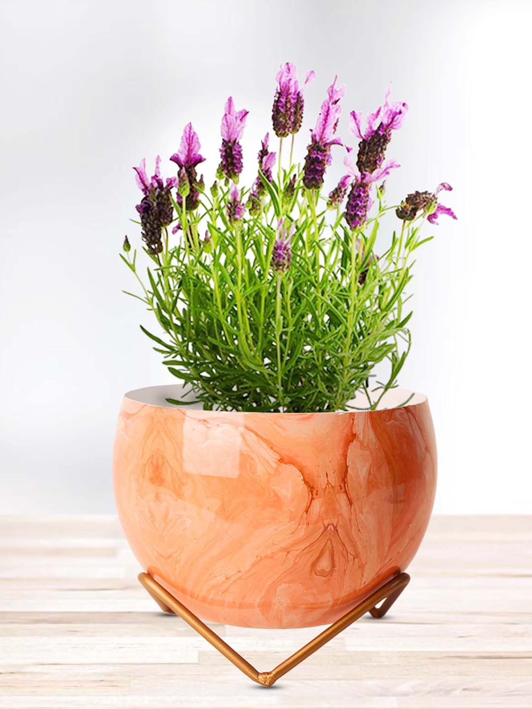 

Peng Essentials Reva 2 Pieces Orange Metal Planters
