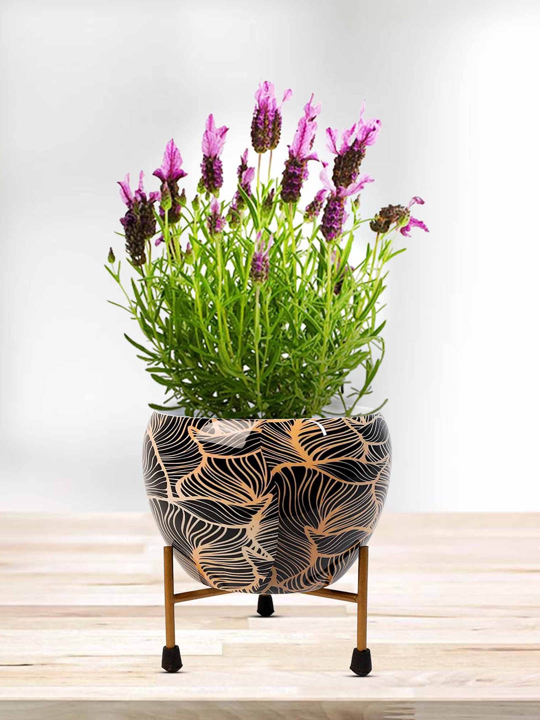 

Peng Essentials Reva 2 Pieces Black Metal Planters