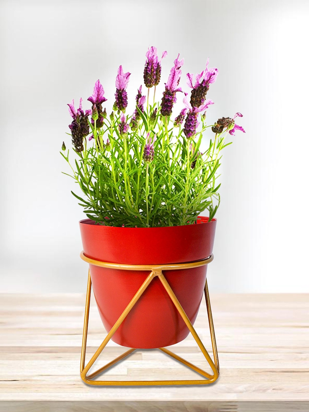 

Peng Essentials Reva Red 2 Pieces Home Decor Indoor Metal Flower Pot
