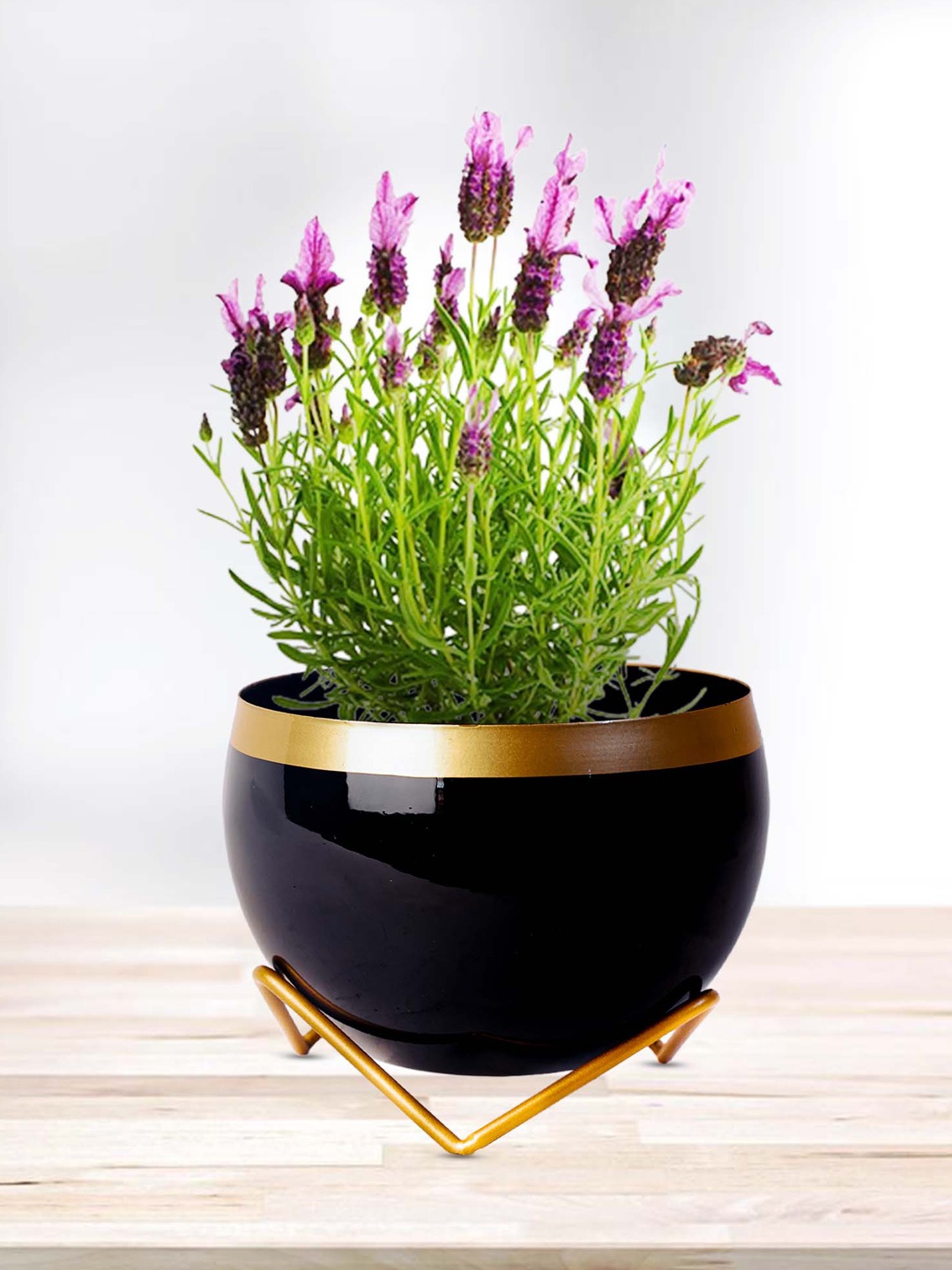 Peng Essentials Reva Yellow & Black 2 Pieces Indoor Metal Flower Pot