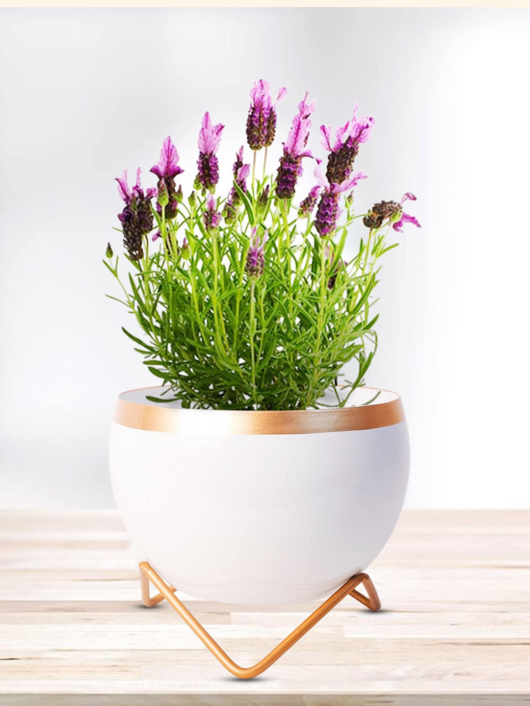 

Peng Essentials Reva White Round Metal Indoor Planters