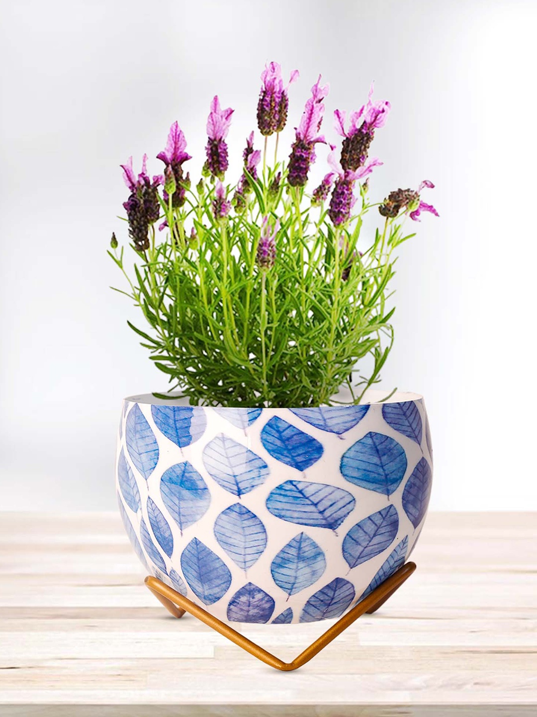 

Peng Essentials Reva Blue & White 2 Pieces Textured Planter With Holder