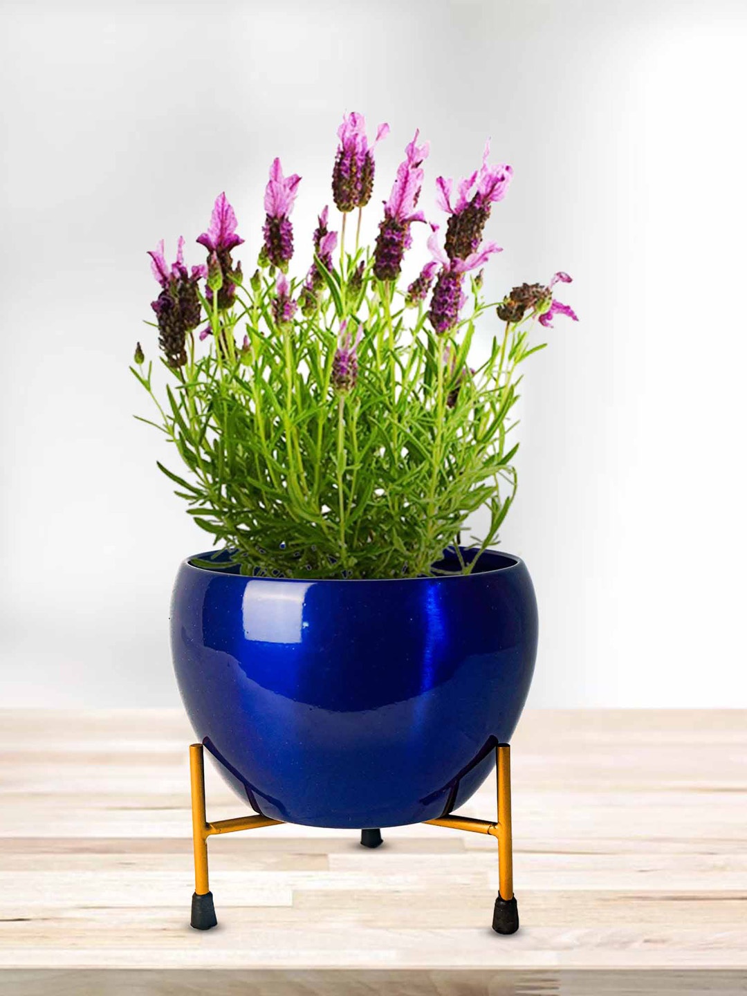

Peng Essentials Reva Blue 2 Pieces Indoor Metal Flower Pot With Holder