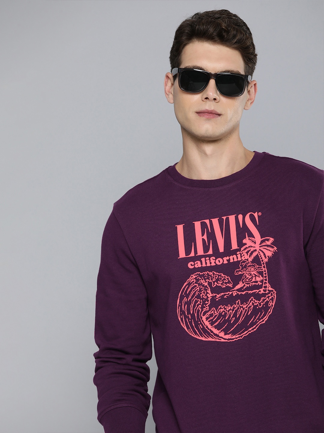 

Levis Men Printed Sweatshirt, Purple