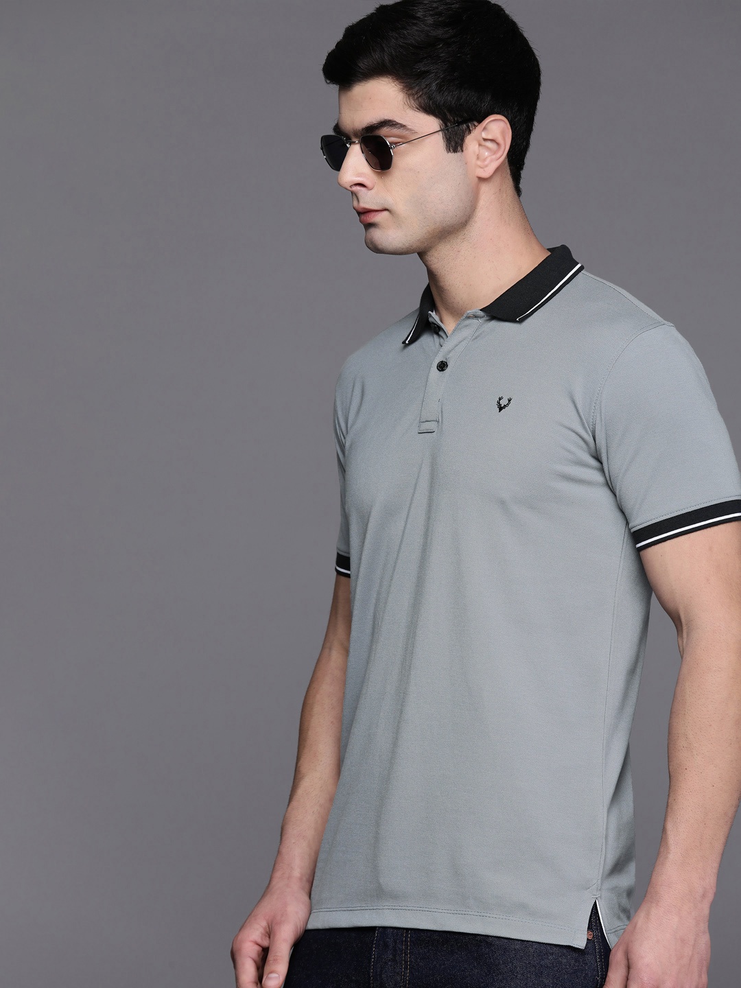 

Allen Solly Polo Collar T-shirt, Grey