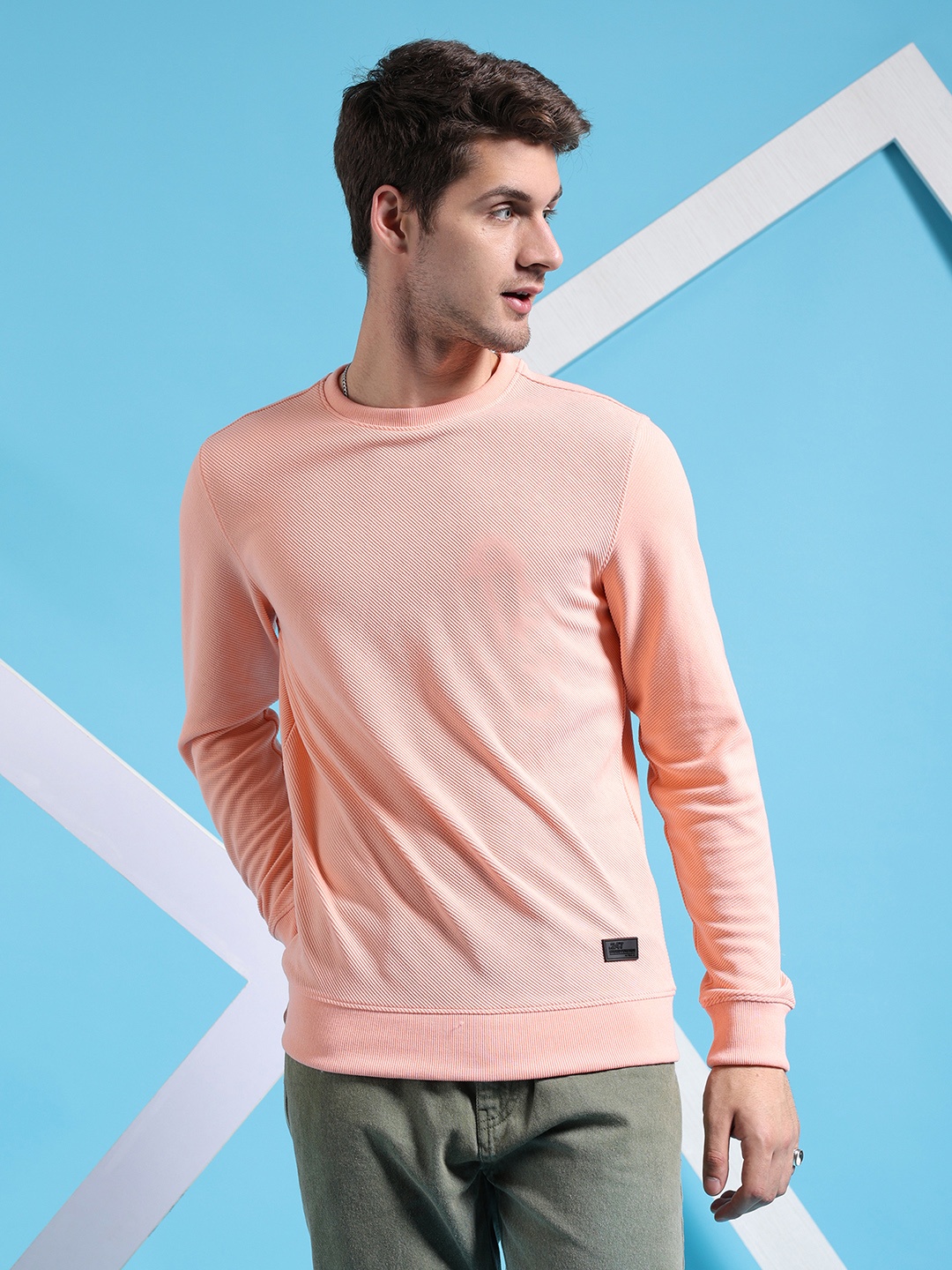 

The Indian Garage Co Self Design Textured Long Sleeve Pullover Sweatshirt, Pink