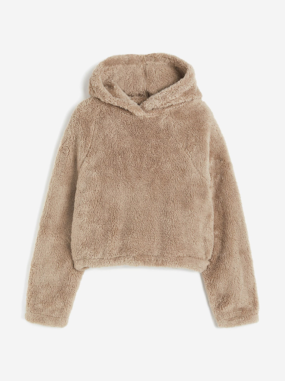 

H&M Women Pile Hoodie, Brown