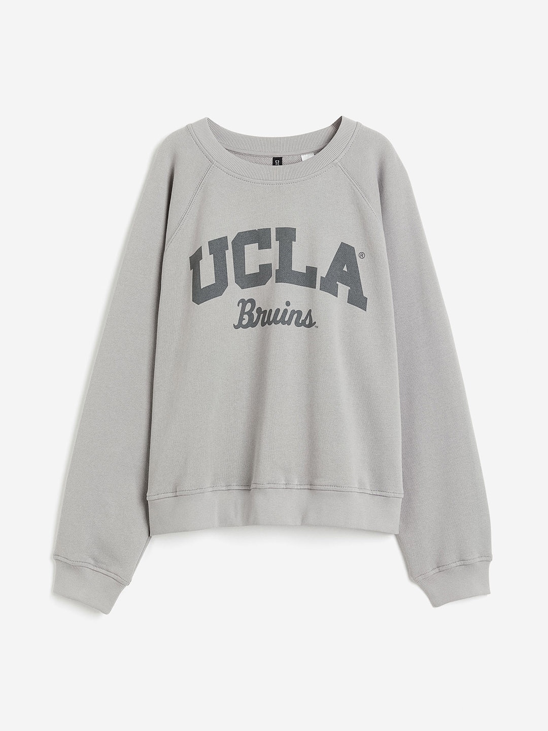 

H&M Women Printed Pure Cotton Sweatshirt, Grey