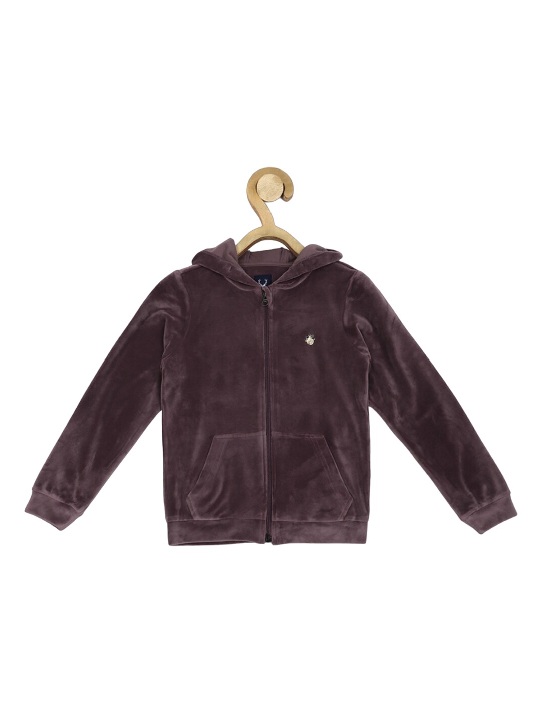 

Allen Solly Junior Boys Hooded Long Sleeves Insert Pocket Detailed Sweatshirt, Brown