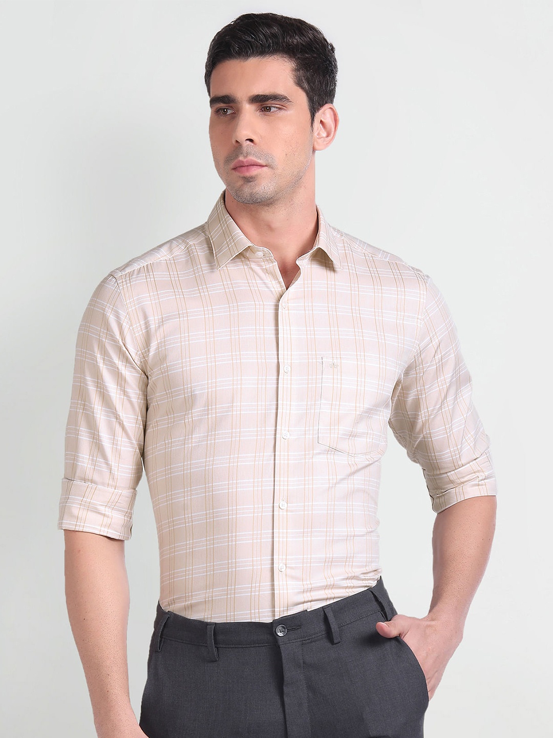 

Arrow Windowpane Check Checked Pure Cotton Formal Shirt, Beige
