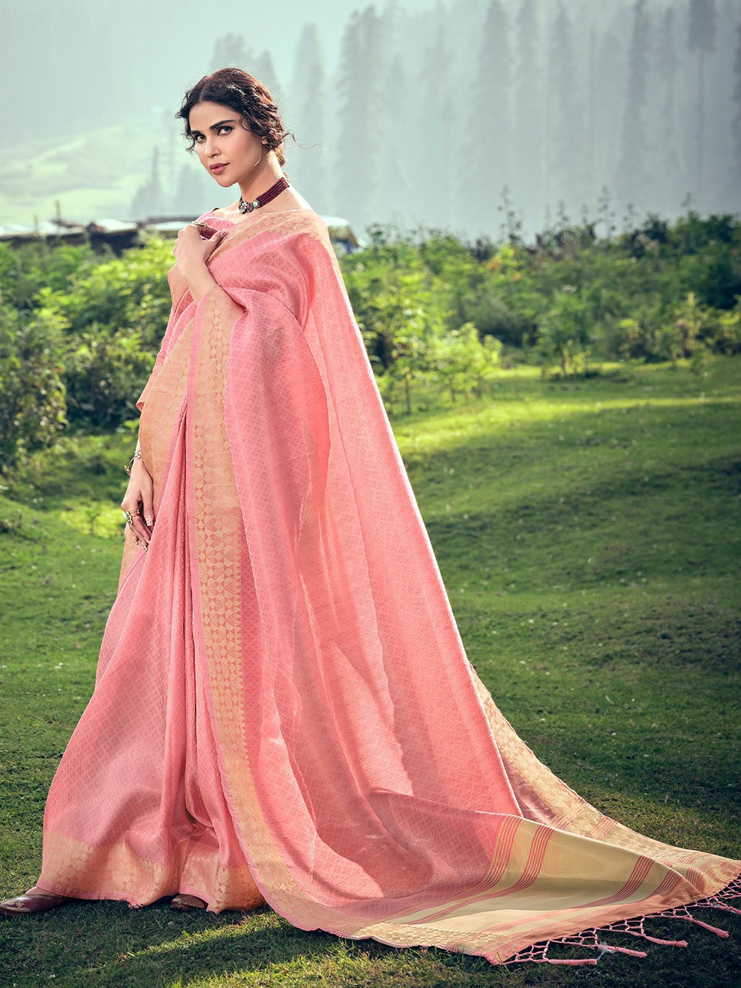 

ODETTE Ethnic Motifs Woven Design Zari Saree, Pink