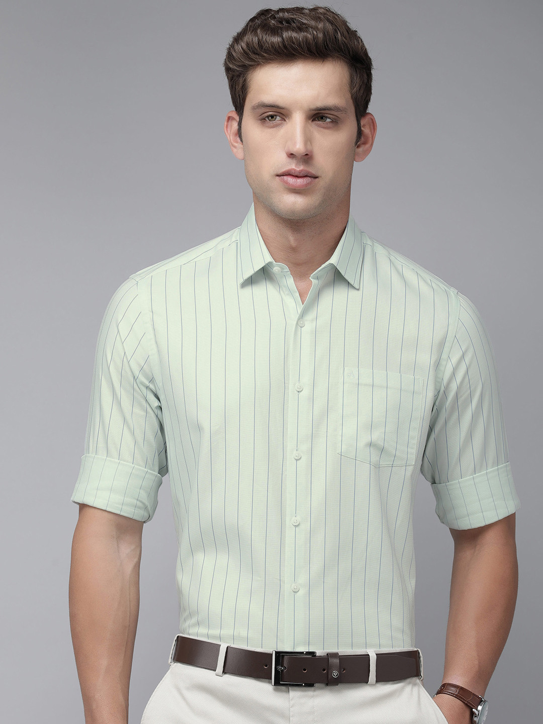 

Arrow Pure Cotton Manhattan Slim Fit Opaque Striped Formal Shirt, Green