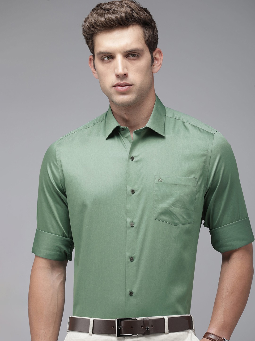 

Arrow Pure Cotton Manhattan Slim Fit Opaque Formal Shirt, Green