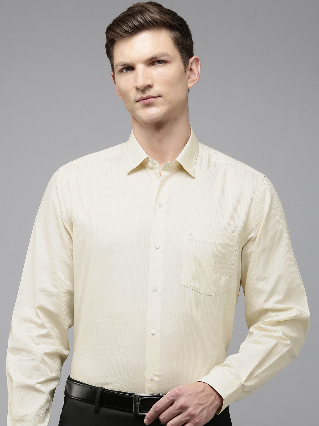 

Arrow Self Design Manhattan Slim Fit Opaque Pure Cotton Formal Shirt, Yellow