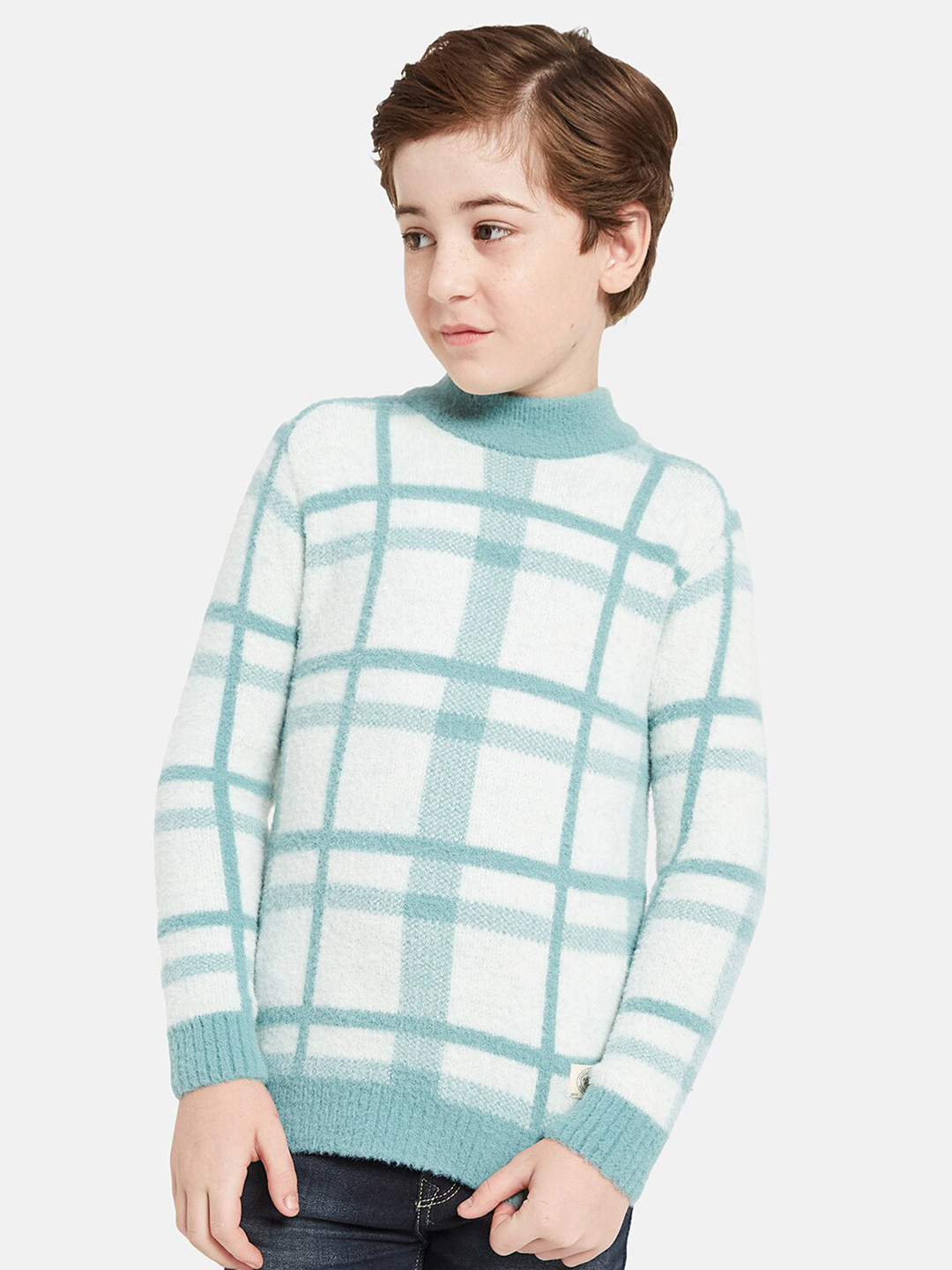 

Octave Boys Checked Mock Neck Pullover, Blue