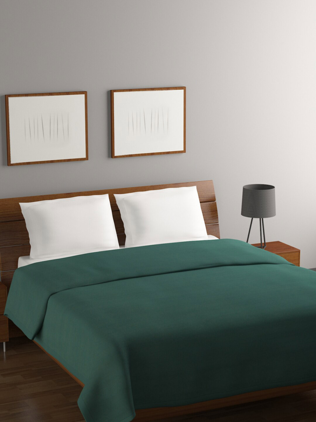 

Rubix Home Green Mild Winter 233 GSM Double Bed Blanket