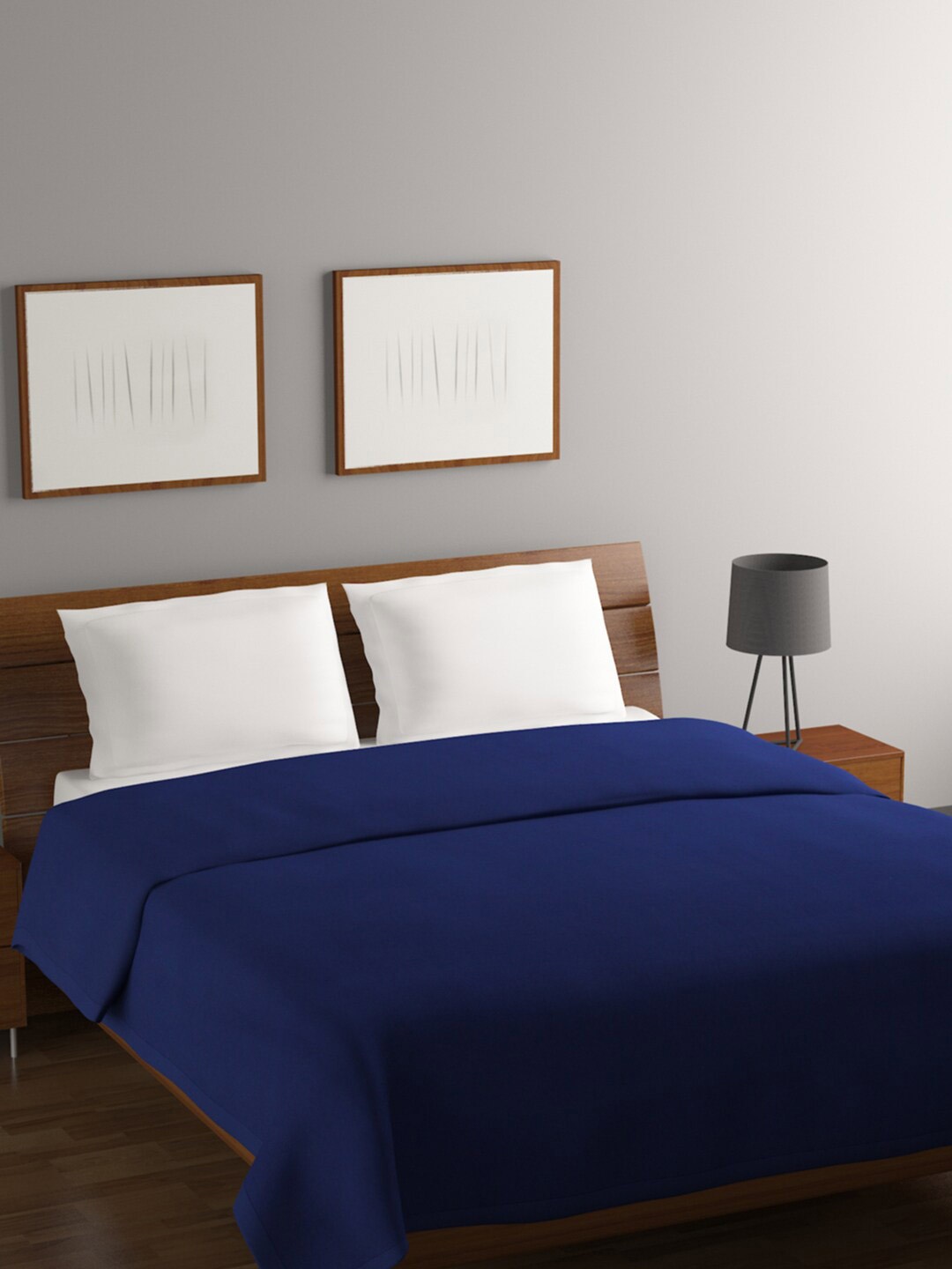 

Rubix Home All Season Blue Mild Winter 233 GSM Fleece Double Bed Blanket