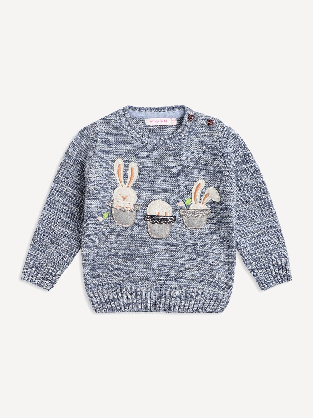 

Wingsfield Girls Embroidered Round Neck Pullover Sweater, Blue