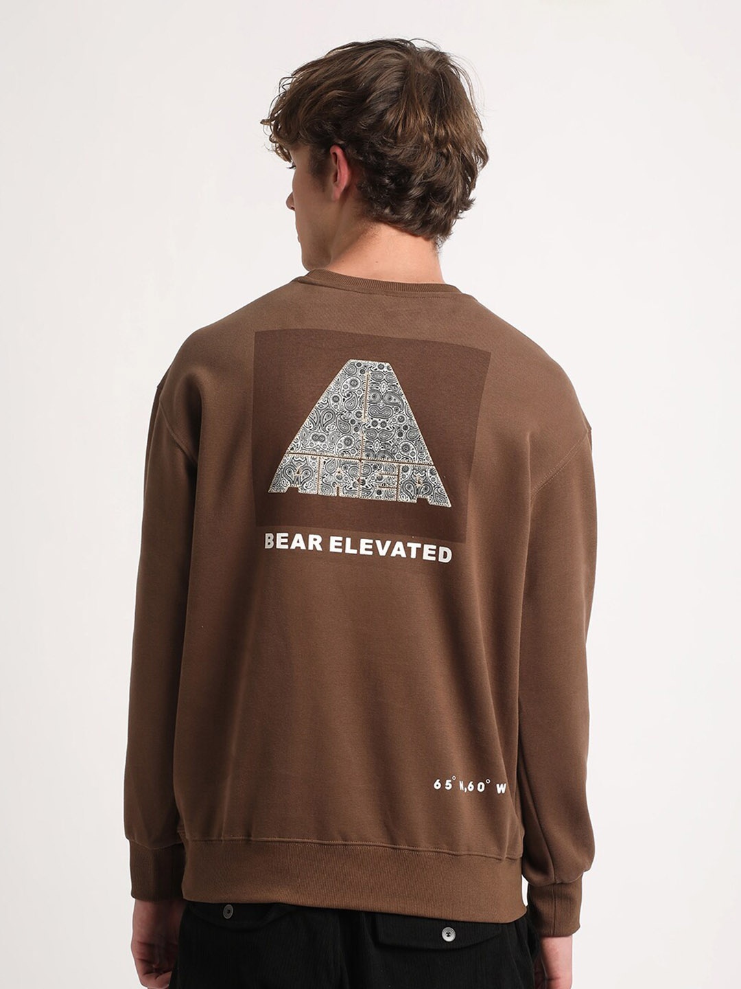 

THE BEAR HOUSE Graphic Printed Pullover Sweatshirt, Brown