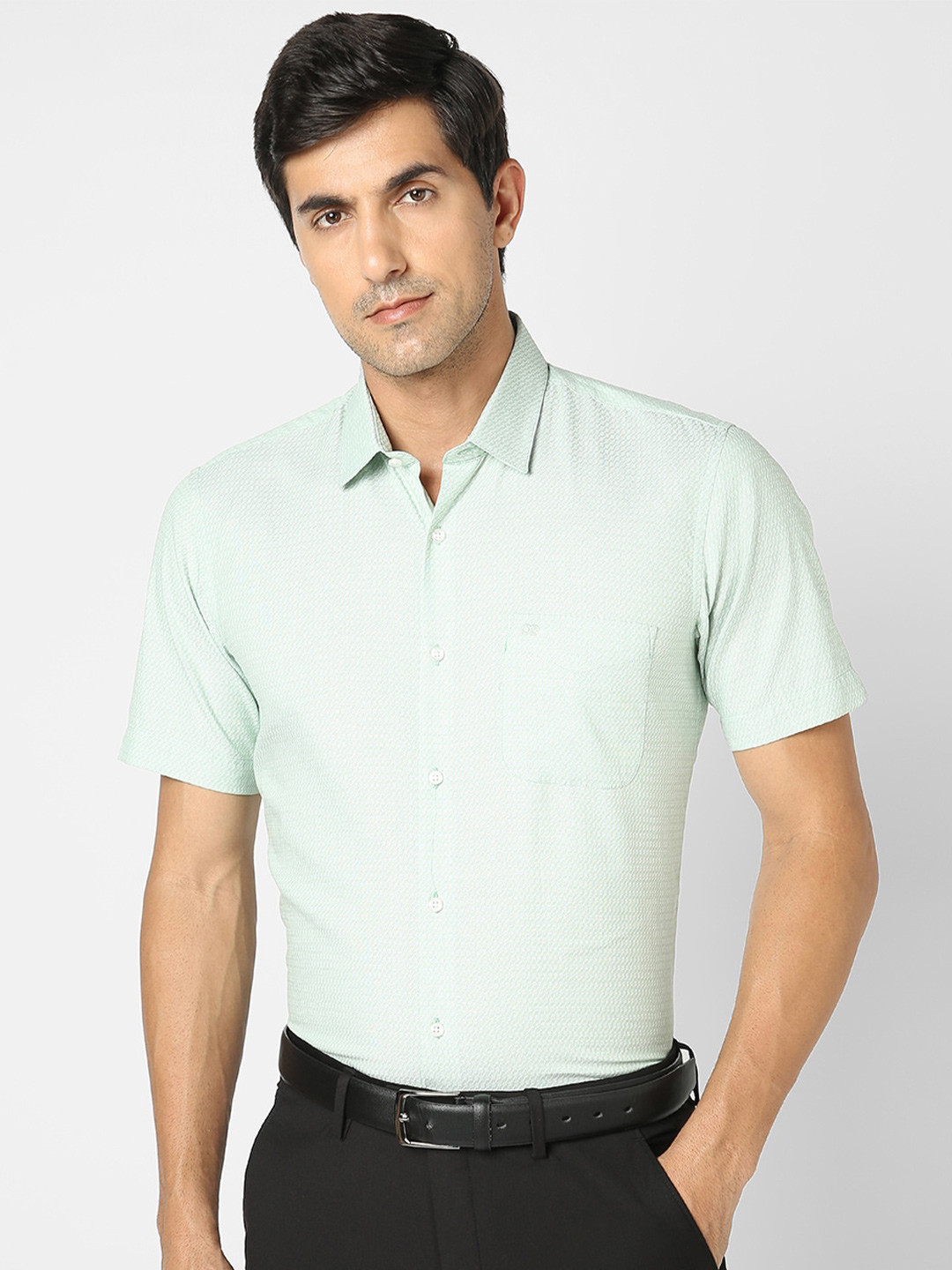 

Peter England Spread Collar Pure Cotton Formal Shirt, Green