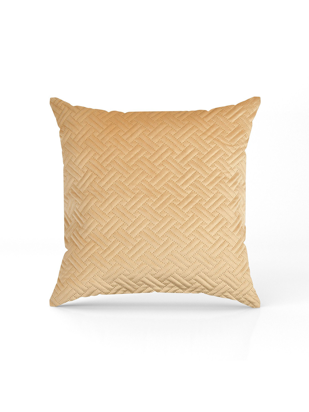 

Florida Beige Geometric Velvet Square Cushion Cover