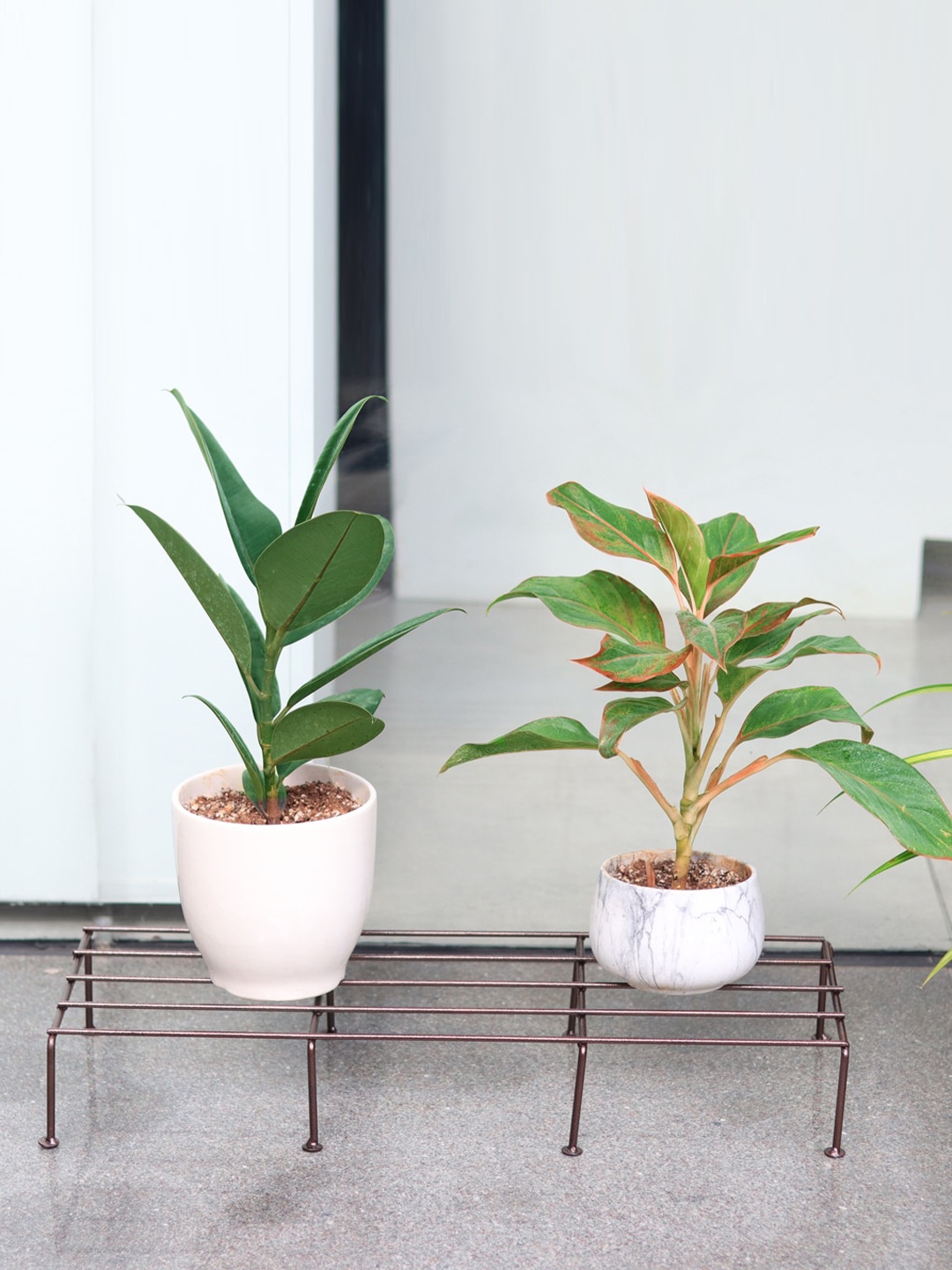 

TRUSTBASKET Copper Metal Planter Stand