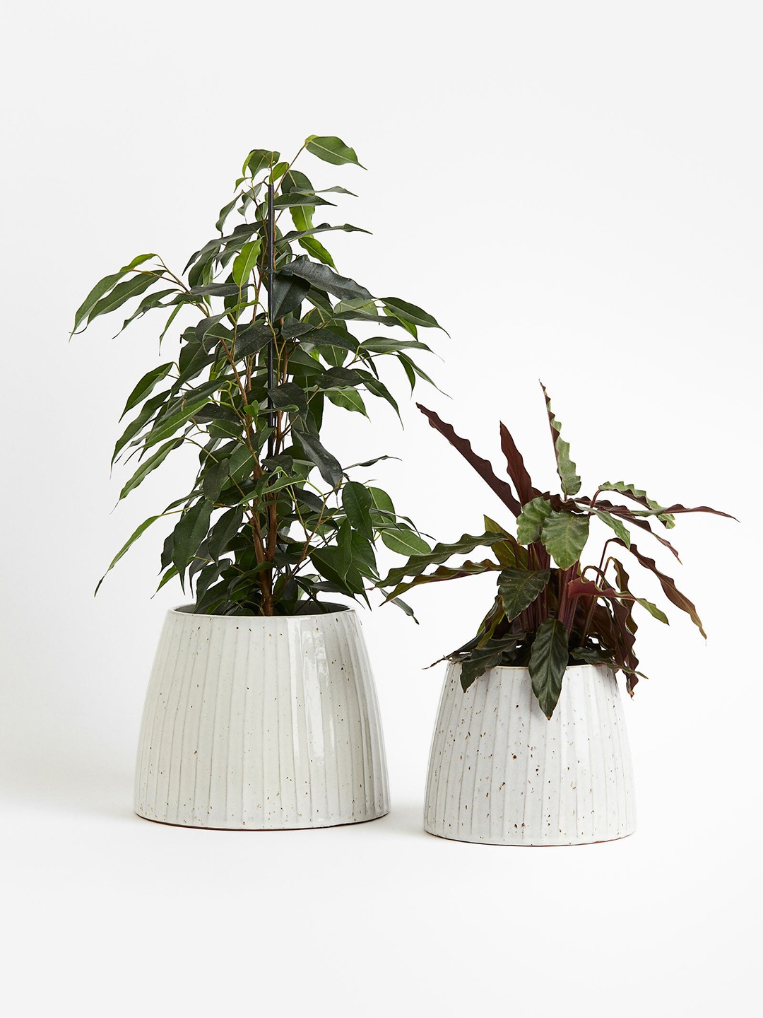 

H&M White Large Terracotta Plant Pot