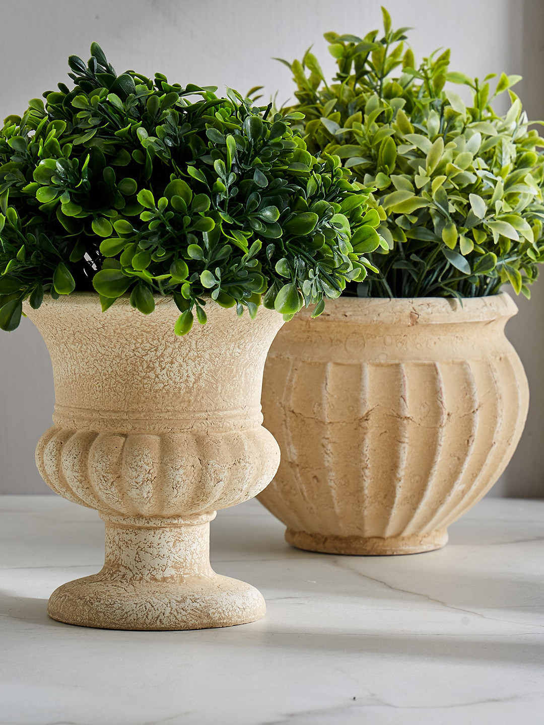 

Home Centre Brown & Green Eucalyptus Plant In Terracotta Plastic Pot