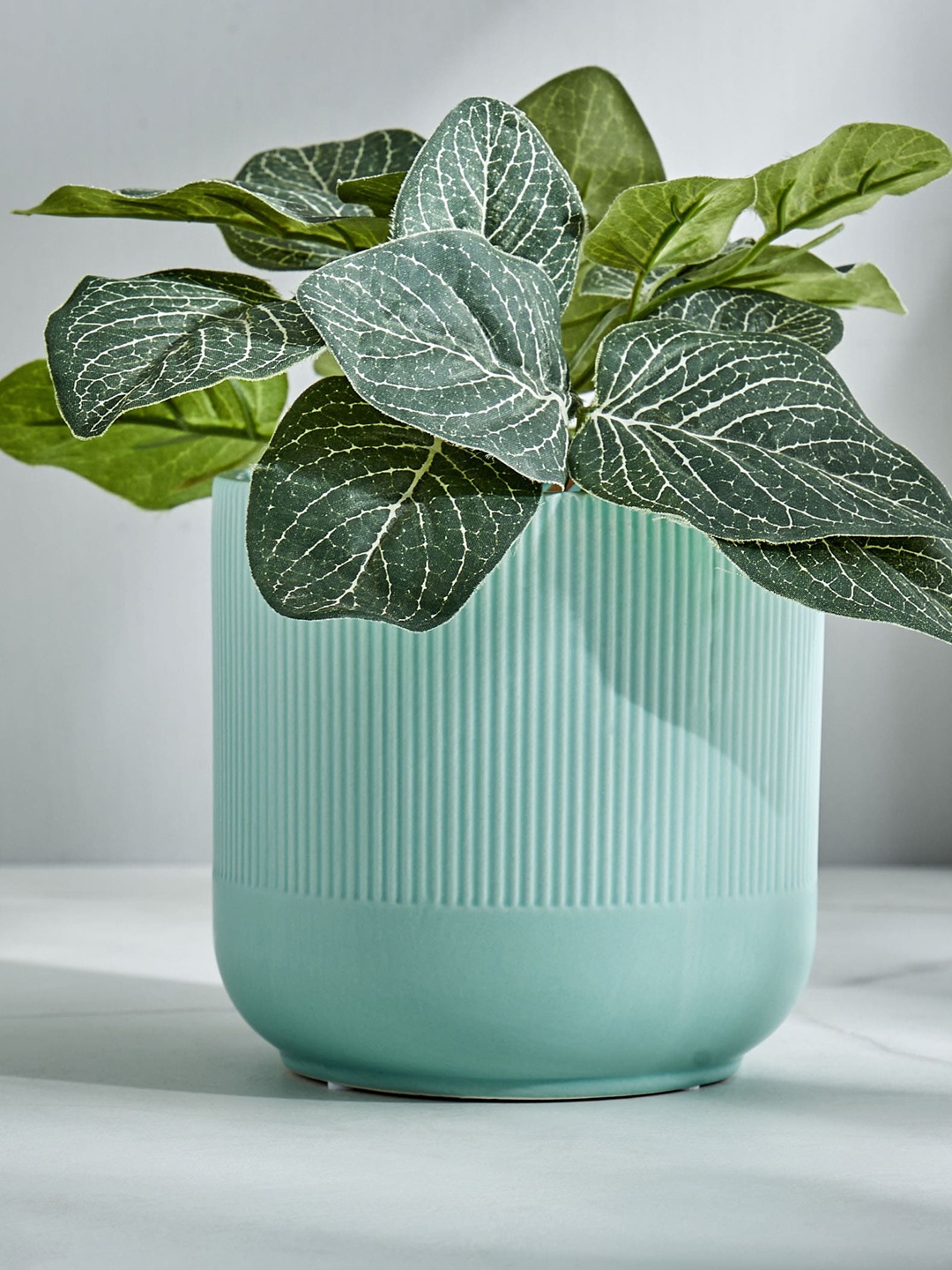 

Home Centre Gloria Argil Teal Ceramic Ribbed Planters