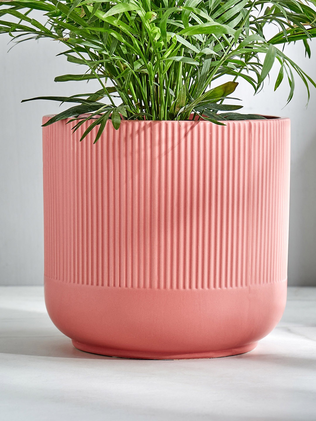 

Home Centre Gloria Argil Pink Ribbed Ceramic Planter