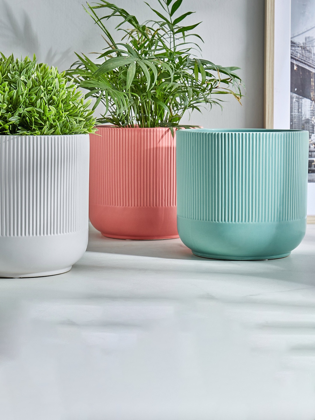 

Home Centre Gloria Argil White Ribbed Ceramic Planter