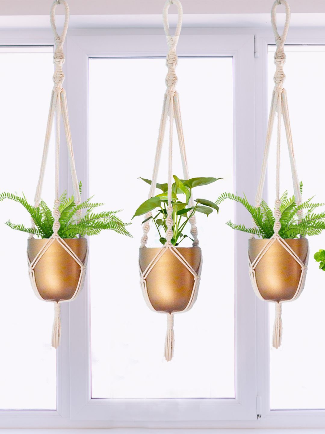 

ecofynd Off White 3 Pieces Macrame Plant Hangers