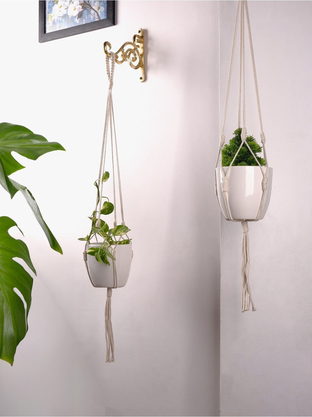 

ecofynd Off White 2 Pieces Macrame Plant Hangers