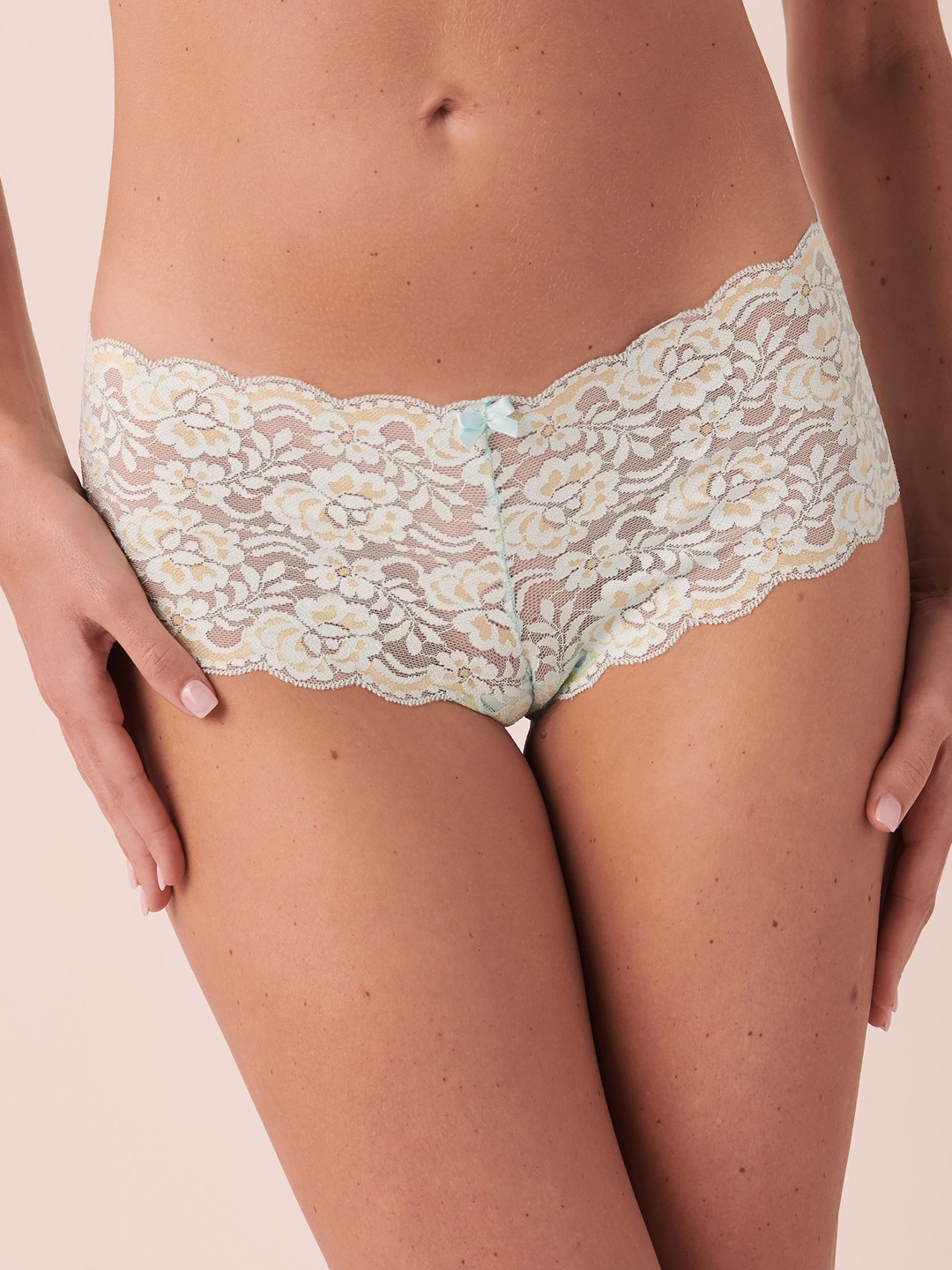 

La Vie en Rose Self Design Lace Hipster Brief, Green