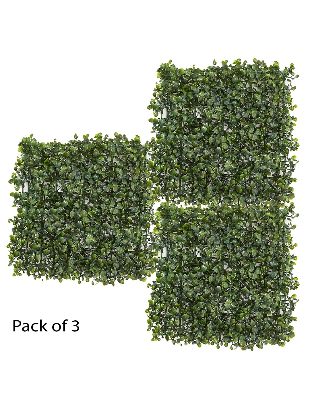 

Fourwalls Green 3 Pieces Equaliptus Plants