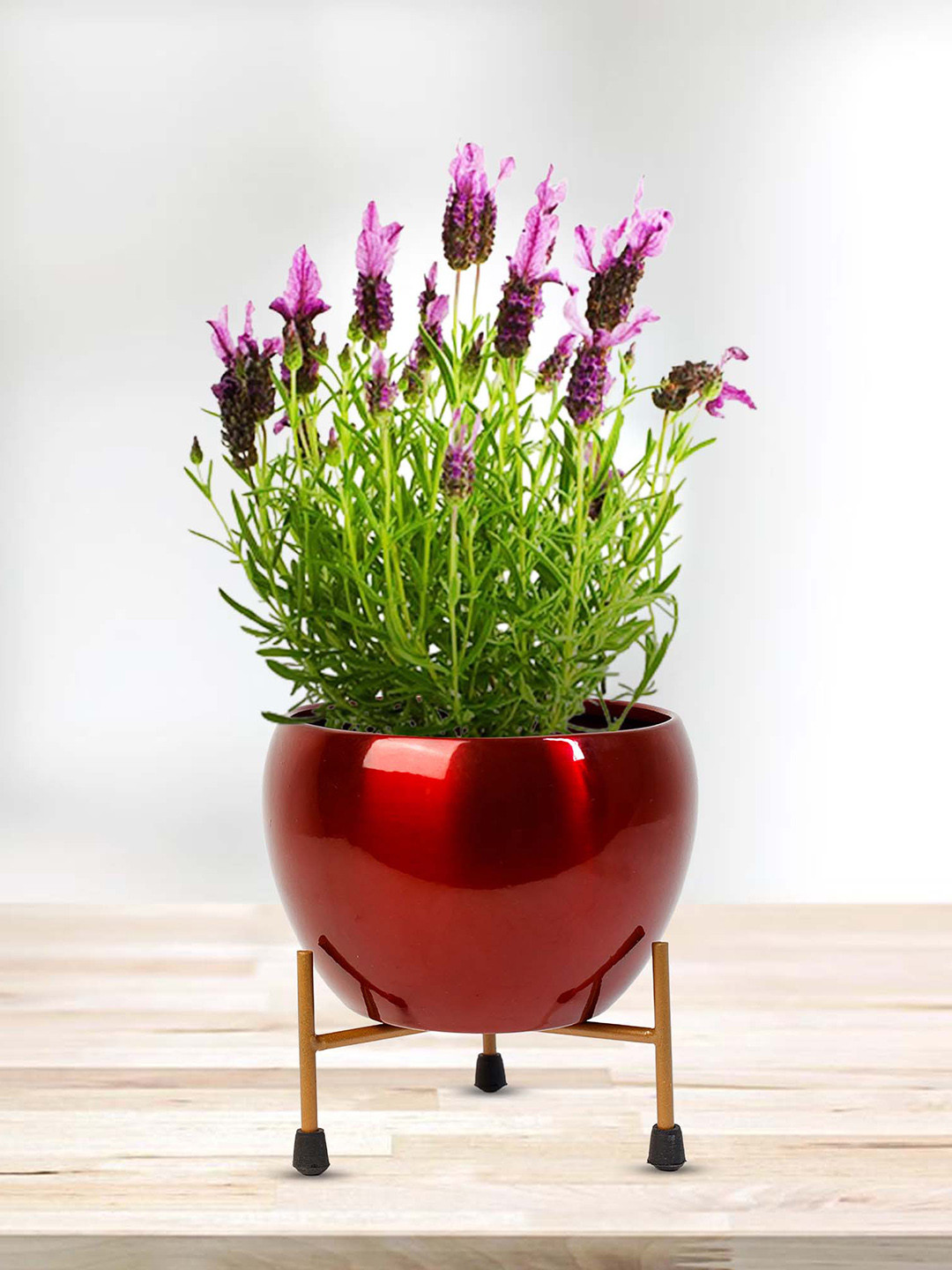 

Peng Essentials 2-Pcs Red Metal Indoor Plant Vase with Stand