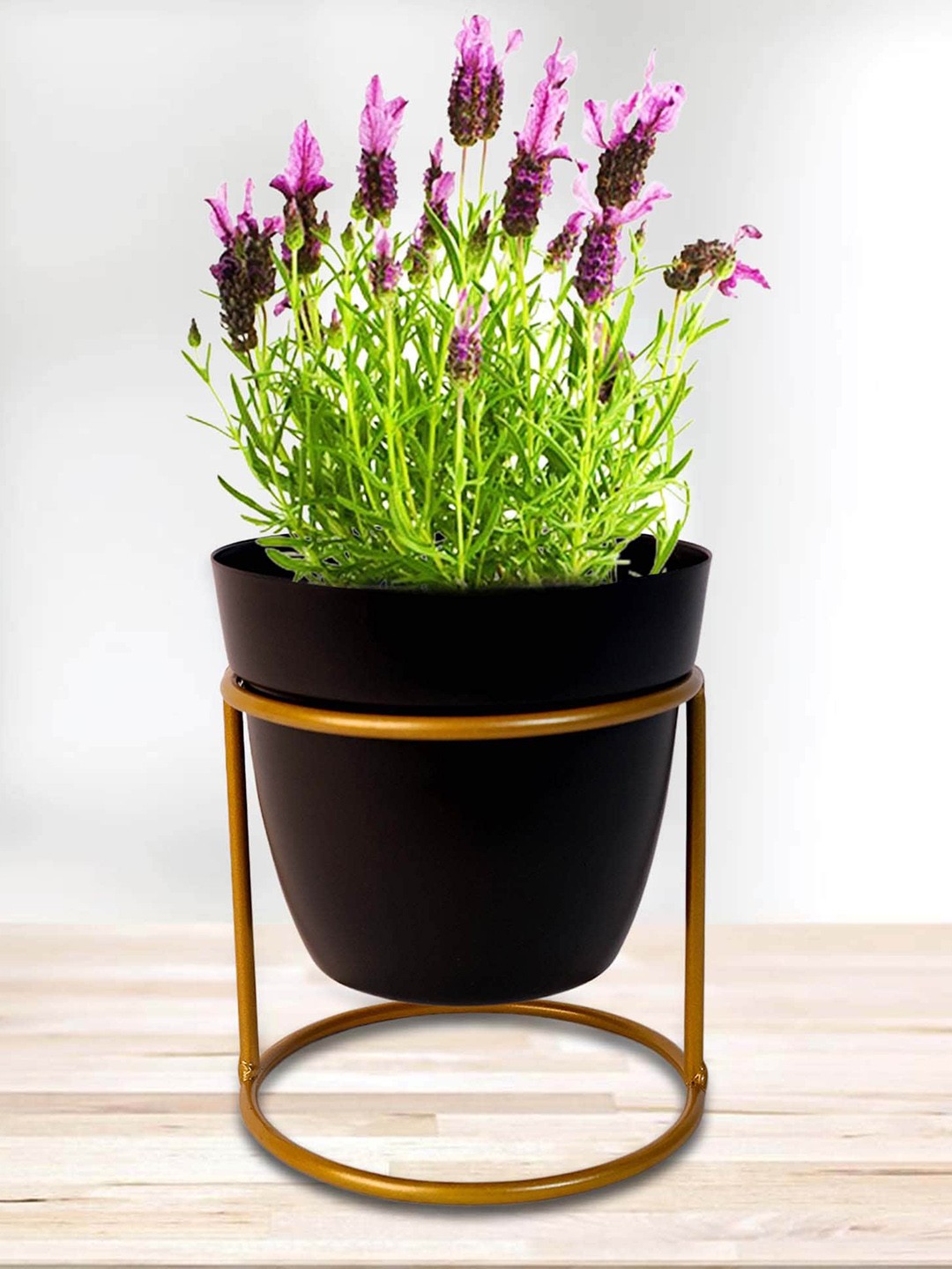 

Peng Essentials Coffee Brown Metal Indoor Planter With Stand