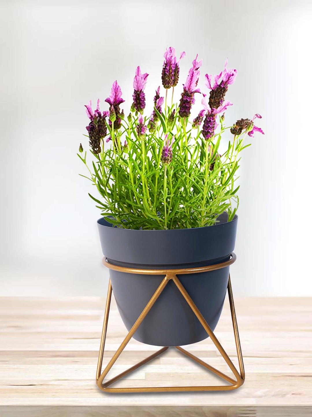 

Peng Essentials 2 Pcs Navy Blue Metal Indoor Plant Vase with Stand