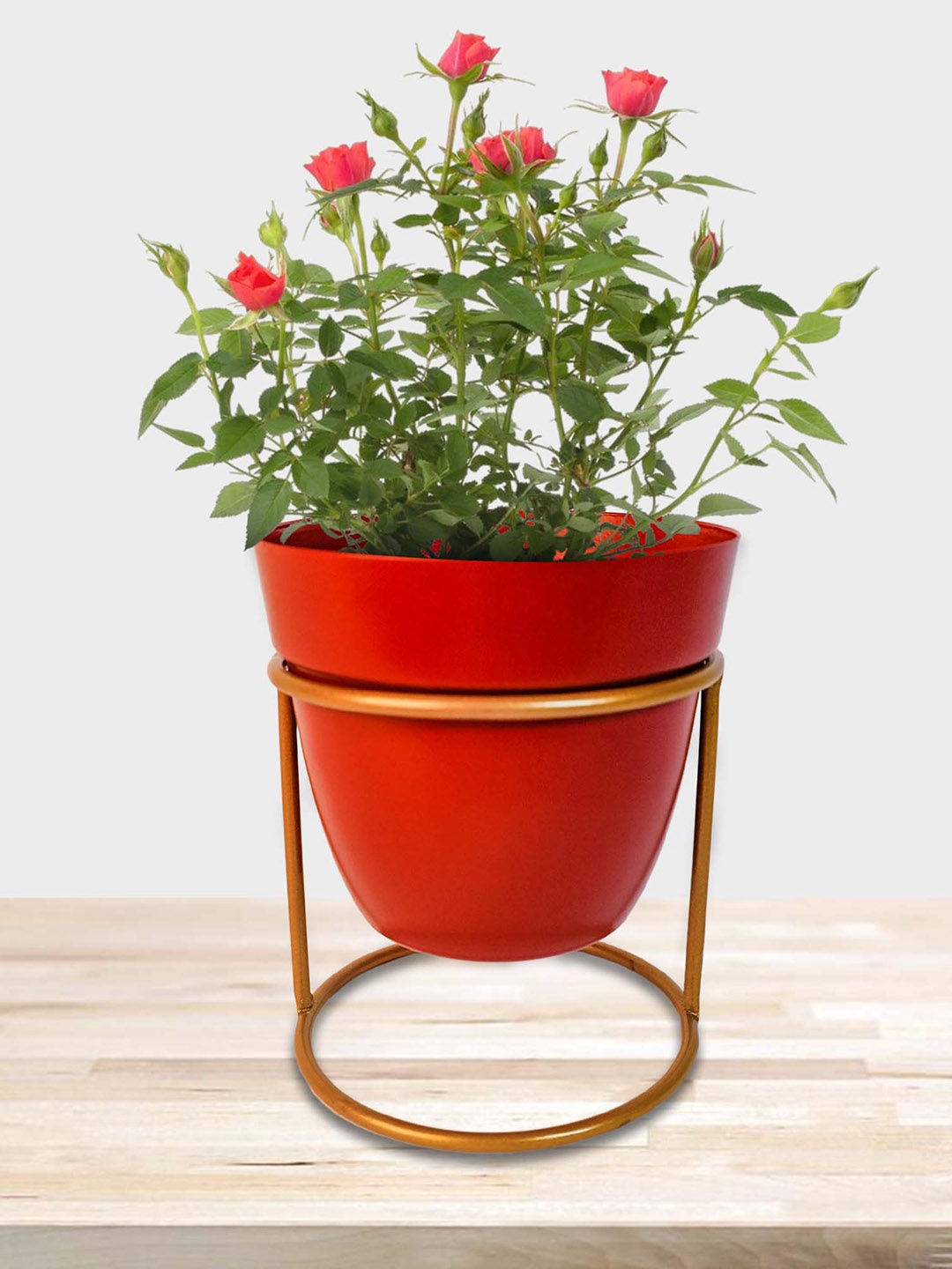 

Peng Essentials Red Metal Indoor Plant Vase with Stand