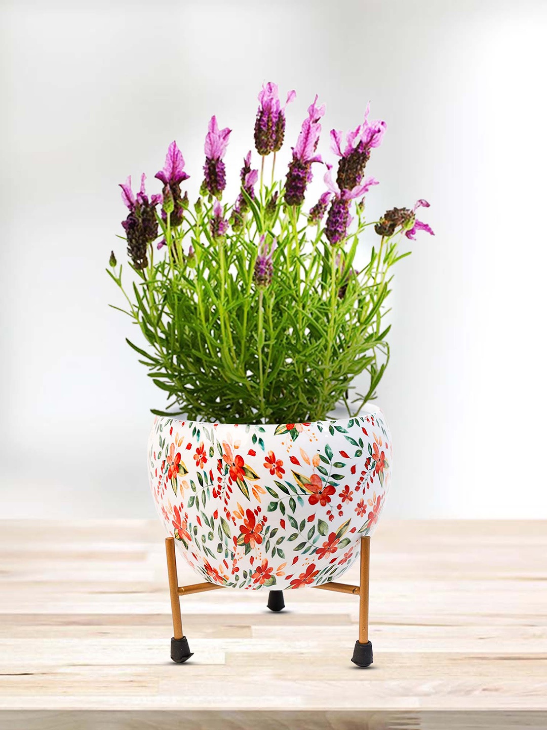 

Peng Essentials REVA White & Red 2 Pieces Printed Planters & Stand Set