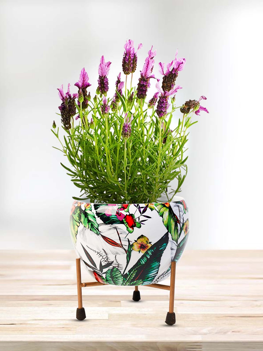 

Peng Essentials REVA White & Green 2 Pieces Printed Planters With Stand Set