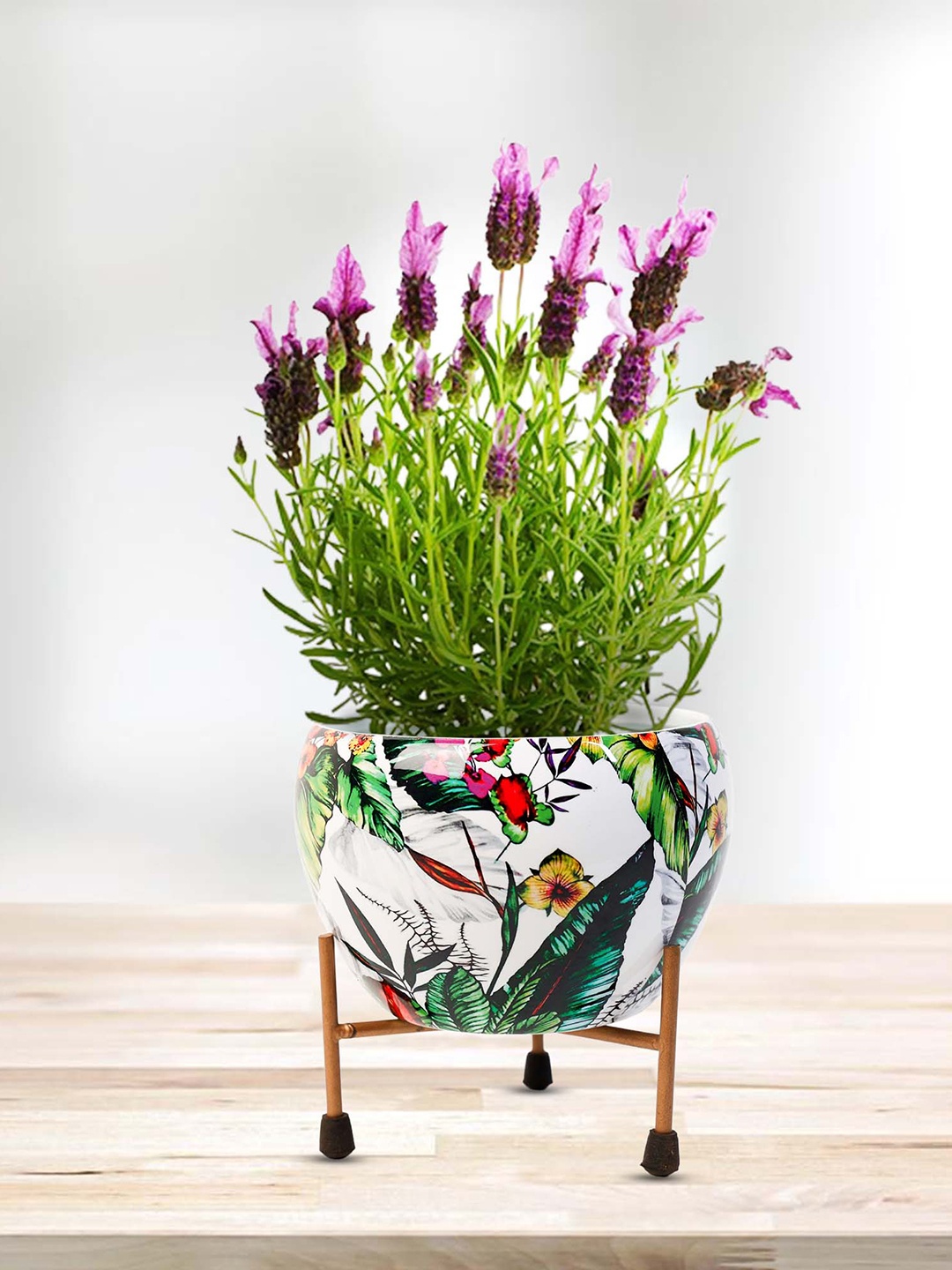 

Peng Essentials REVA White & Green Printed Planter With Stand Set