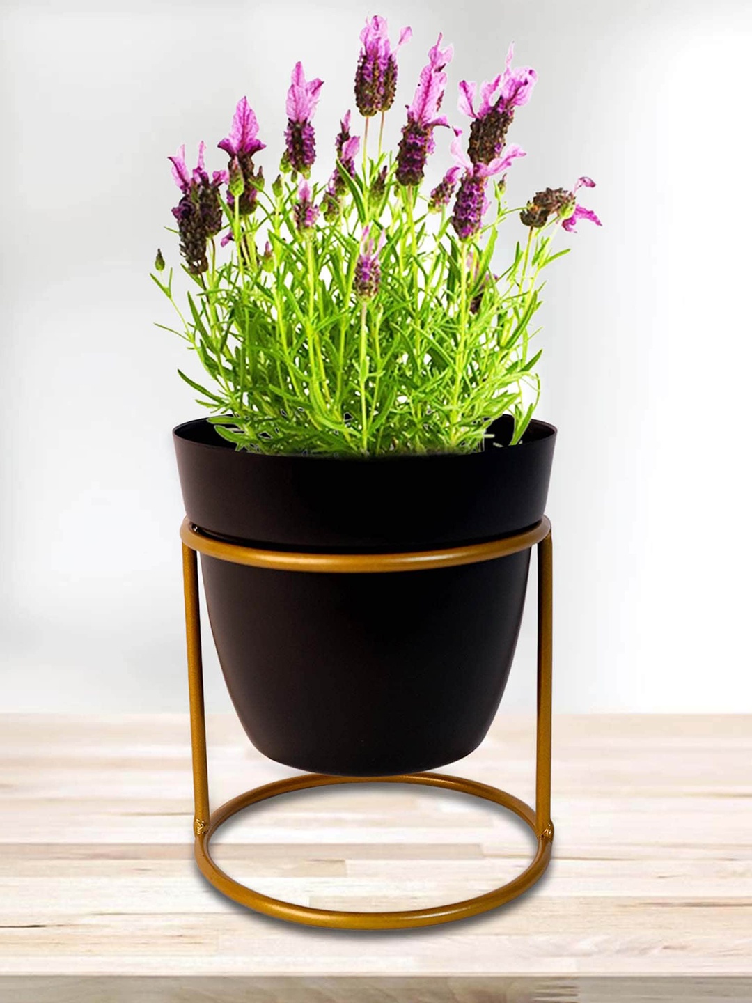 Peng Essentials REVA Black & Yellow 2 Pieces Planters With Stands